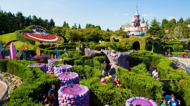 Alices Curious Labyrinth