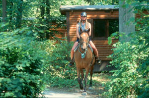 Davy Crockett Ranch